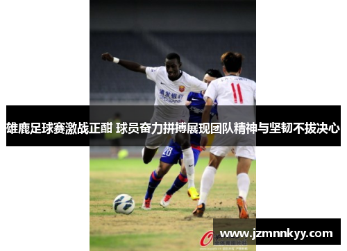 雄鹿足球赛激战正酣 球员奋力拼搏展现团队精神与坚韧不拔决心